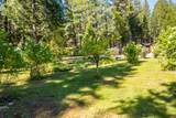 30481 Rl Smith Logging Road - Photo 6