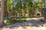 30481 Rl Smith Logging Road - Photo 9