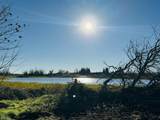 22148 Lone Tree Road - Photo 6