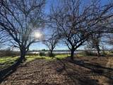 22148 Lone Tree Road - Photo 8