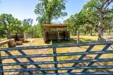 21100 Doe Run Way - Photo 52