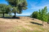 15809 Old Stage Coach Road - Photo 20