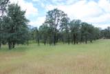 19387 Palermo Court - Photo 5
