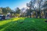 4302 Paulson Lane - Photo 31