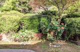1773 Soda Springs Circle - Photo 47