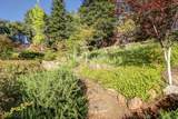 1773 Soda Springs Circle - Photo 48
