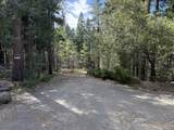  Dandelion Drive - Photo 2