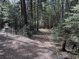  Dandelion Drive - Photo 3