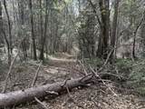  Dandelion Drive - Photo 4