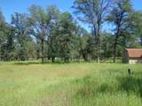 18287 Sterling Place - Photo 1