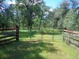 18287 Sterling Place - Photo 3