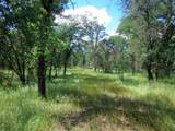 18287 Sterling Place - Photo 9