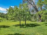 21743 Boyle Road - Photo 14