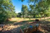 25680 Cherith Brook Drive - Photo 65