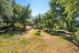25680 Cherith Brook Drive - Photo 66