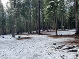 0 Mccumber Lake Road - Photo 10