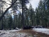 0 Mccumber Lake Road - Photo 11