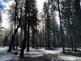 0 Mccumber Lake Road - Photo 2