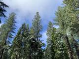 0 Mccumber Lake Road - Photo 5