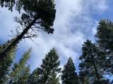 0 Mccumber Lake Road - Photo 6