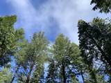 0 Mccumber Lake Road - Photo 8