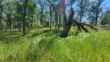 Lot 63 Mccoy Road - Photo 11