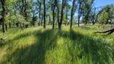 Lot 63 Mccoy Road - Photo 12