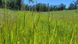 Lot 63 Mccoy Road - Photo 23