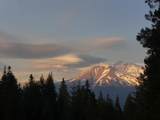4110 Red Fir Loop - Photo 36
