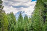 4110 Red Fir Loop - Photo 5