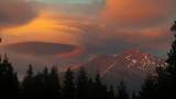 4110 Red Fir Loop - Photo 7