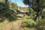 10393 Swasey Drive - Photo 7