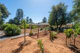 16922 China Gulch Drive - Photo 64