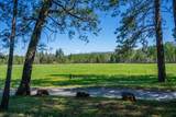 29865 Highway 299 - Photo 153