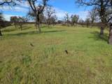 000 Knob Hill Place - Photo 4