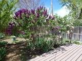 24924 Curve Street - Photo 24