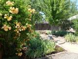 24924 Curve Street - Photo 28