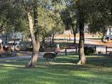 14216 Bear Mountain - Photo 27