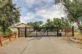 14216 Bear Mountain - Photo 28
