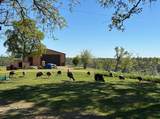 6231 Ridgetop Road - Photo 9