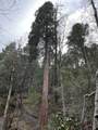 1500, 1551 Reading Creek Road - Photo 18