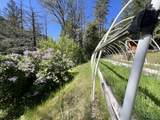 1500, 1551 Reading Creek Road - Photo 19