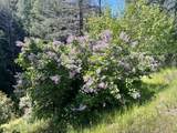 1500, 1551 Reading Creek Road - Photo 20