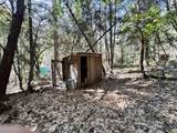 1500, 1551 Reading Creek Road - Photo 36