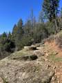 1500, 1551 Reading Creek Road - Photo 43