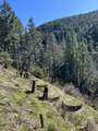 1500, 1551 Reading Creek Road - Photo 44
