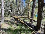 1500, 1551 Reading Creek Road - Photo 45