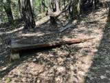 1500, 1551 Reading Creek Road - Photo 46