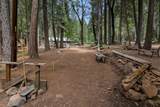 30704 Hagen Flat Road - Photo 71