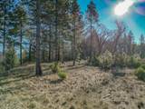 18670 Ycotti Creek Ridge Road - Photo 12